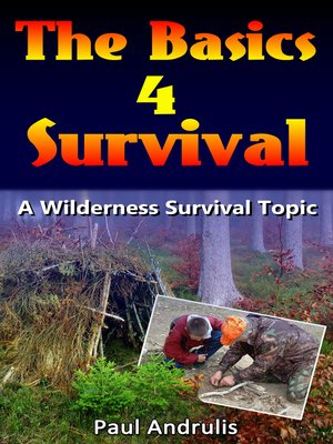 cover image of The Basics 4 Survival